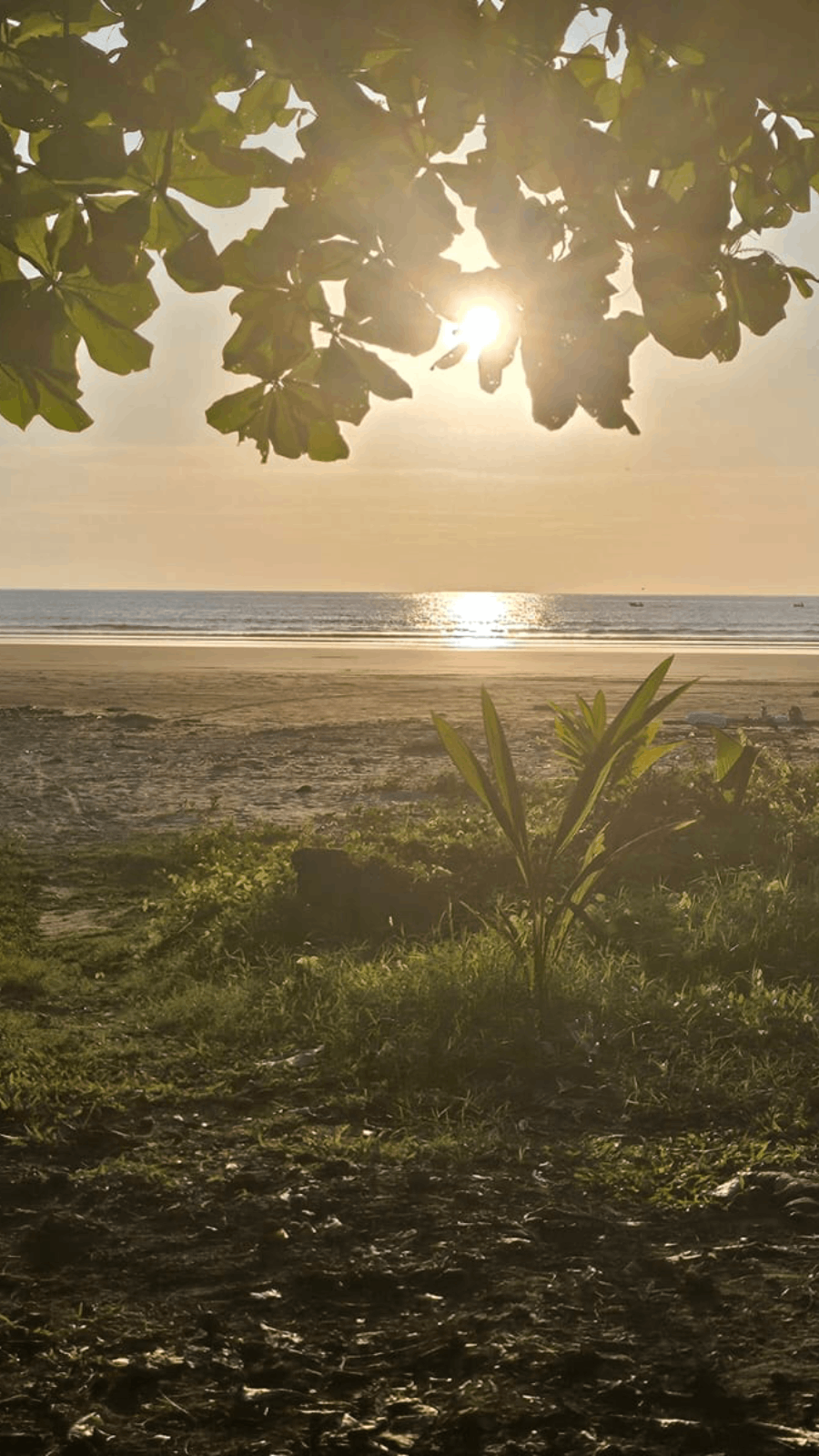 Costa-de-Oro02-vert